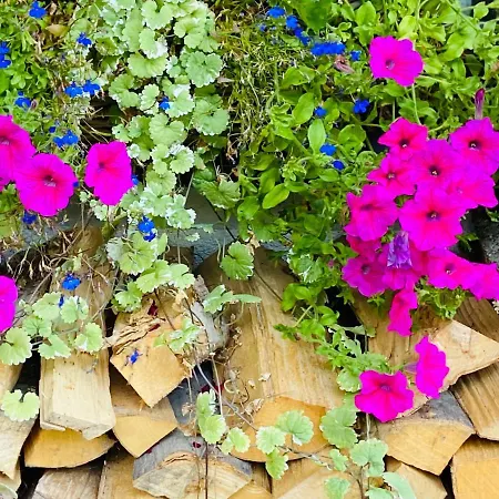 Alpstuga Schmitten 102 By Alp Lux - Opposite Lift